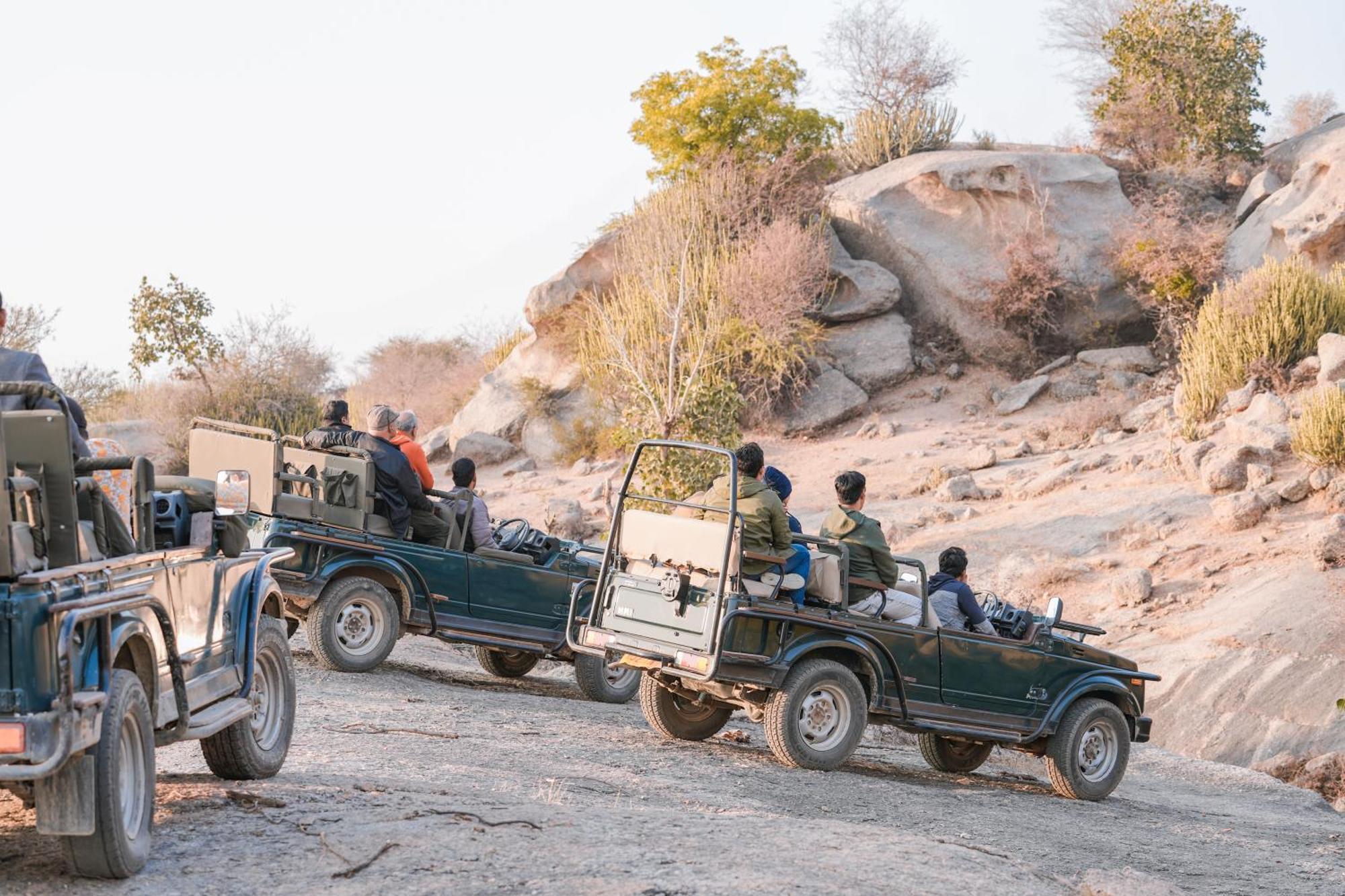 Bed and Breakfast Jawai Wildlife Safari Camp Nana Экстерьер фото